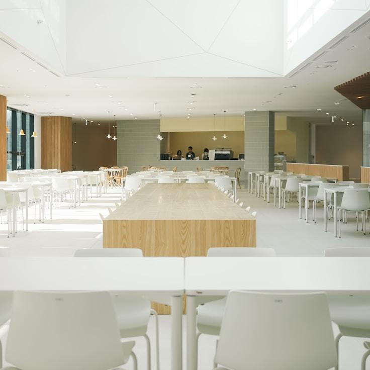 School choices for expat families in London, United Kingdom